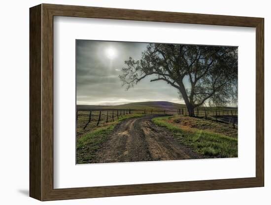 Road entering the Flint Hills of Kansas-Michael Scheufler-Framed Photographic Print