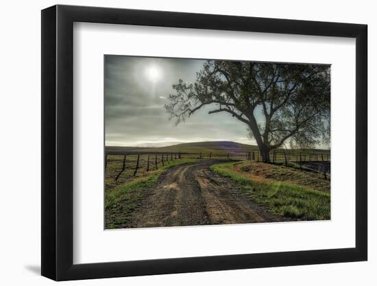 Road entering the Flint Hills of Kansas-Michael Scheufler-Framed Photographic Print