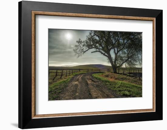 Road entering the Flint Hills of Kansas-Michael Scheufler-Framed Photographic Print