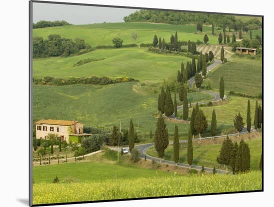 Road from Pienza to Montepulciano, Monticchiello, Val D'Orcia, Siena Province, Tuscany, Italy-Pitamitz Sergio-Mounted Photographic Print