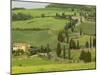 Road from Pienza to Montepulciano, Monticchiello, Val D'Orcia, Siena Province, Tuscany, Italy-Pitamitz Sergio-Mounted Photographic Print