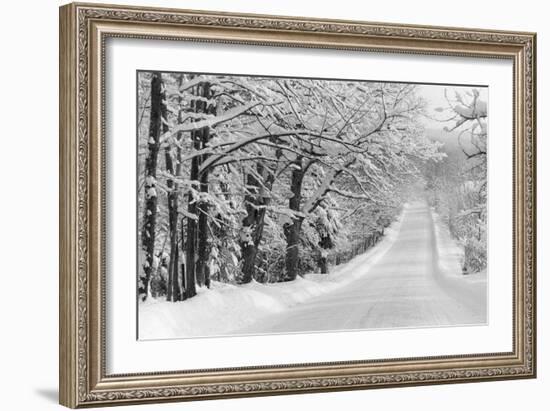 Road Home-Orah Moore-Framed Art Print