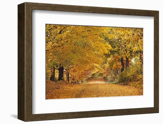 ROAD IN AUTUMN CENTRAL PENNSYLVANIA USA-Panoramic Images-Framed Photographic Print