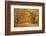 ROAD IN AUTUMN CENTRAL PENNSYLVANIA USA-Panoramic Images-Framed Photographic Print