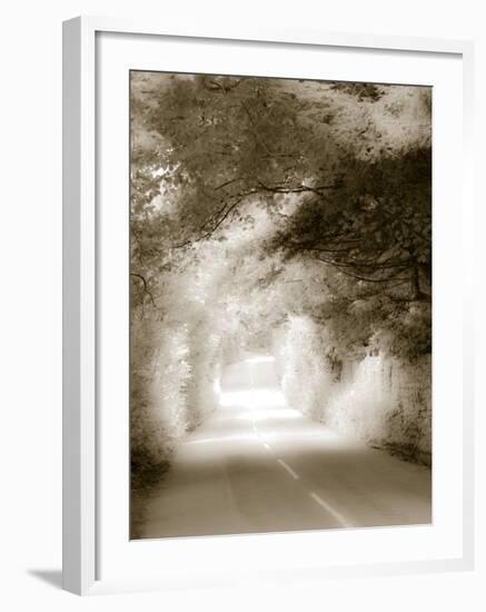 Road in Autumn-David Ridley-Framed Photographic Print