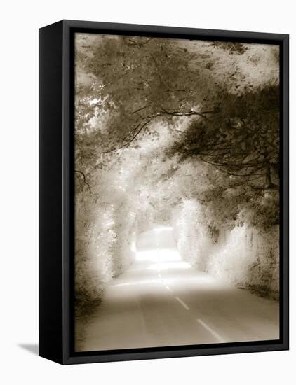 Road in Autumn-David Ridley-Framed Premier Image Canvas