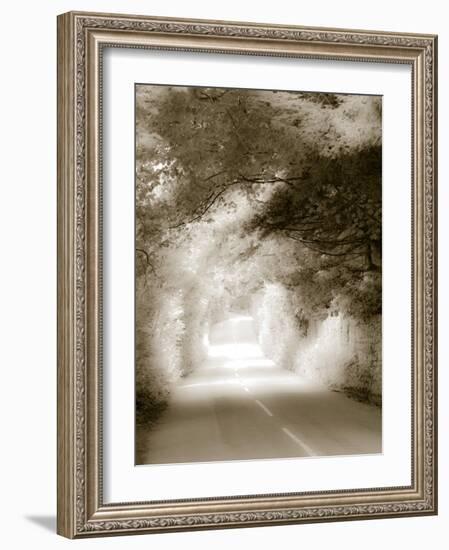 Road in Autumn-David Ridley-Framed Photographic Print