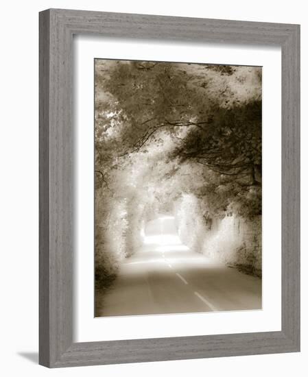 Road in Autumn-David Ridley-Framed Photographic Print