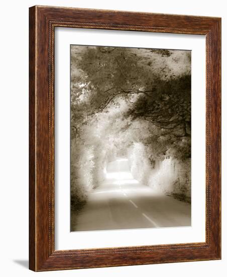 Road in Autumn-David Ridley-Framed Photographic Print