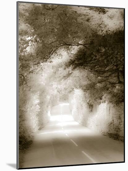 Road in Autumn-David Ridley-Mounted Photographic Print