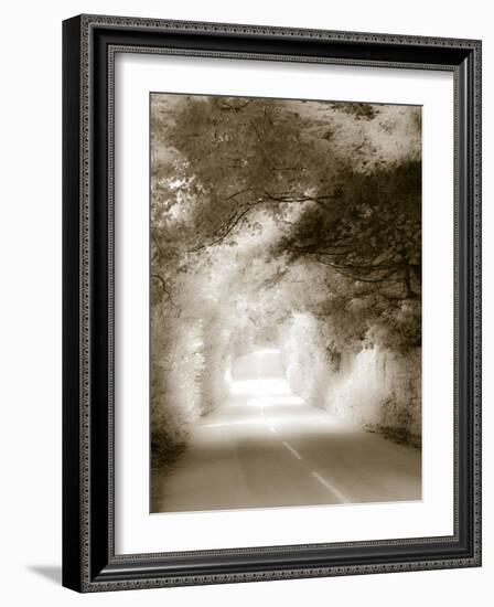 Road in Autumn-David Ridley-Framed Photographic Print