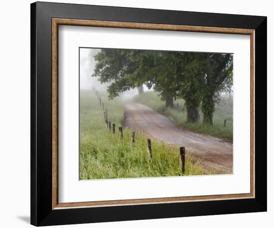 Road in Cades Cove, Great Smoky Mountains National Park, Tennessee, USA-null-Framed Photographic Print