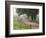 Road in Cades Cove, Great Smoky Mountains National Park, Tennessee, USA-null-Framed Photographic Print