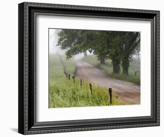 Road in Cades Cove, Great Smoky Mountains National Park, Tennessee, USA-null-Framed Photographic Print