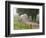 Road in Cades Cove, Great Smoky Mountains National Park, Tennessee, USA-null-Framed Photographic Print