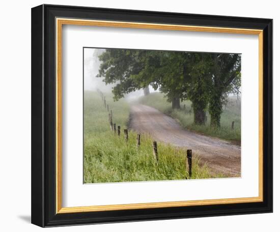 Road in Cades Cove, Great Smoky Mountains National Park, Tennessee, USA-null-Framed Photographic Print