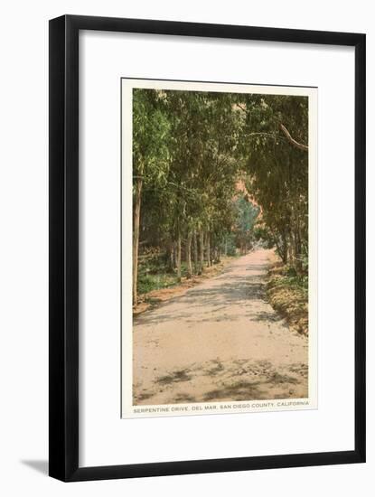 Road in Del Mar, California-null-Framed Art Print