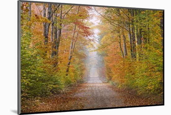 Road in Fall Color Schoolcraft County, Upper Peninsula, Michigan-Richard and Susan Day-Mounted Photographic Print