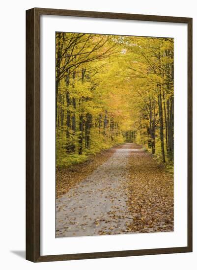 Road in Fall Color Schoolcraft County, Upper Peninsula, Michigan-Richard and Susan Day-Framed Photographic Print