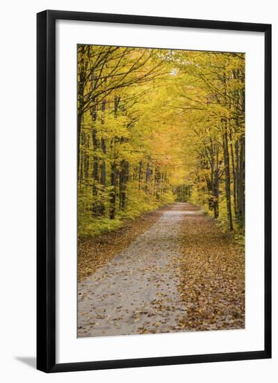 Road in Fall Color Schoolcraft County, Upper Peninsula, Michigan-Richard and Susan Day-Framed Photographic Print