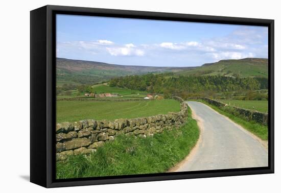 Road in Farndale, North York Moors, North Yorkshire-Peter Thompson-Framed Premier Image Canvas