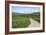 Road in Farndale, North York Moors, North Yorkshire-Peter Thompson-Framed Photographic Print