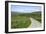 Road in Farndale, North York Moors, North Yorkshire-Peter Thompson-Framed Photographic Print