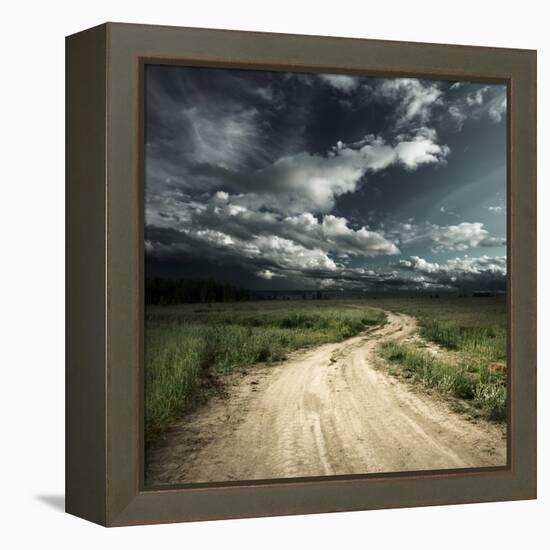 Road in Field and Stormy Clouds-Dudarev Mikhail-Framed Premier Image Canvas