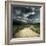 Road in Field and Stormy Clouds-Dudarev Mikhail-Framed Photographic Print