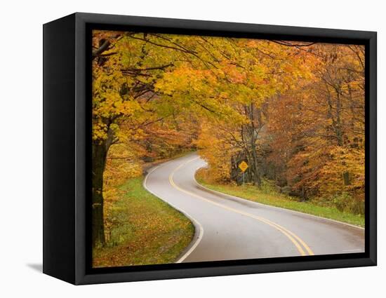 Road in Forest, Vermont, New England, USA-Demetrio Carrasco-Framed Premier Image Canvas