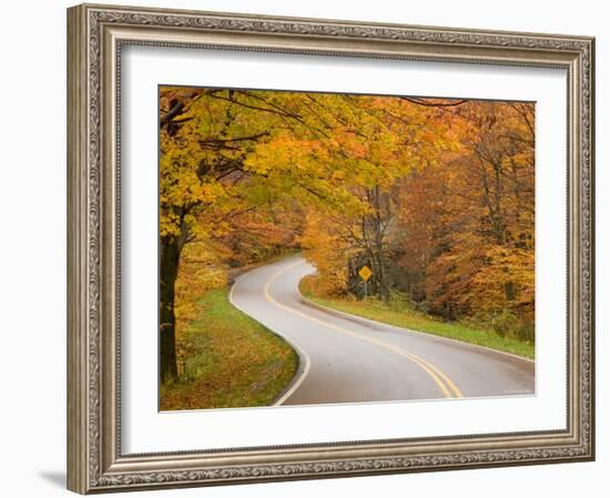 Road in Forest, Vermont, New England, USA-Demetrio Carrasco-Framed Photographic Print