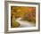 Road in Forest, Vermont, New England, USA-Demetrio Carrasco-Framed Photographic Print