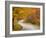 Road in Forest, Vermont, New England, USA-Demetrio Carrasco-Framed Photographic Print