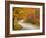 Road in Forest, Vermont, New England, USA-Demetrio Carrasco-Framed Photographic Print