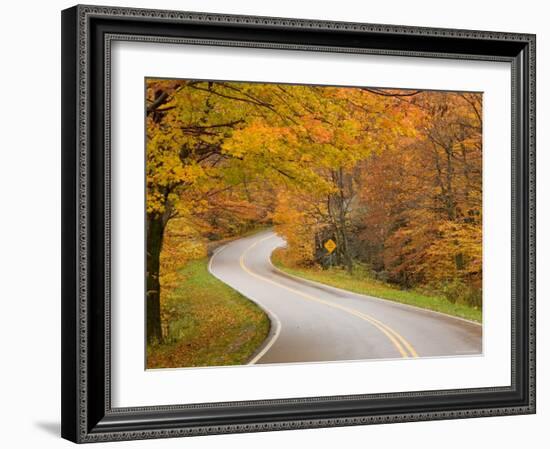 Road in Forest, Vermont, New England, USA-Demetrio Carrasco-Framed Photographic Print