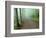 Road in Great Smoky Mountains National Park-Darrell Gulin-Framed Photographic Print