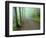 Road in Great Smoky Mountains National Park-Darrell Gulin-Framed Photographic Print