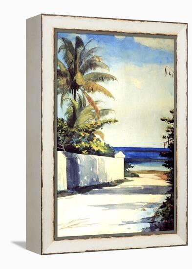 Road in Nassau, 1898-99-Winslow Homer-Framed Premier Image Canvas