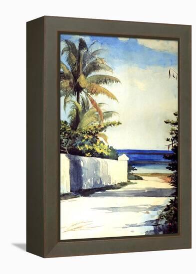 Road in Nassau, 1898-99-Winslow Homer-Framed Premier Image Canvas