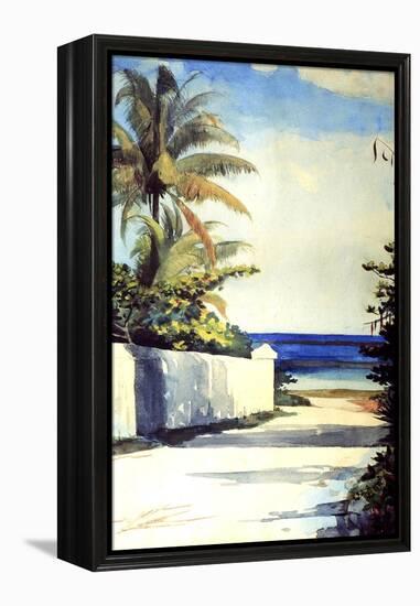 Road in Nassau, 1898-99-Winslow Homer-Framed Premier Image Canvas