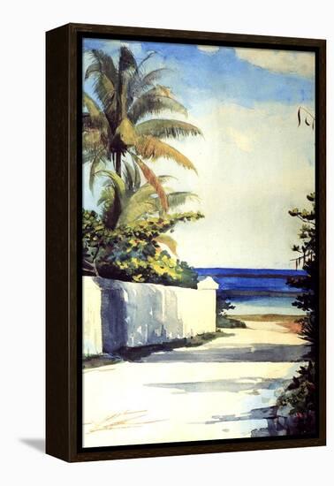 Road in Nassau, 1898-99-Winslow Homer-Framed Premier Image Canvas