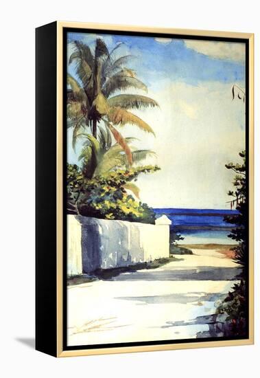 Road in Nassau, 1898-99-Winslow Homer-Framed Premier Image Canvas