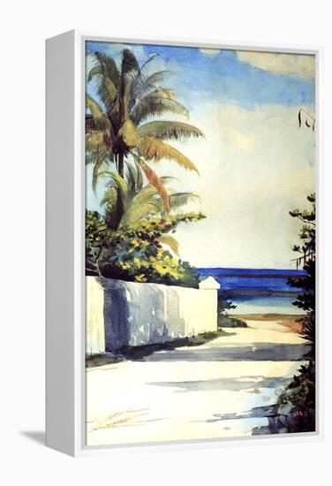 Road in Nassau, 1898-99-Winslow Homer-Framed Premier Image Canvas