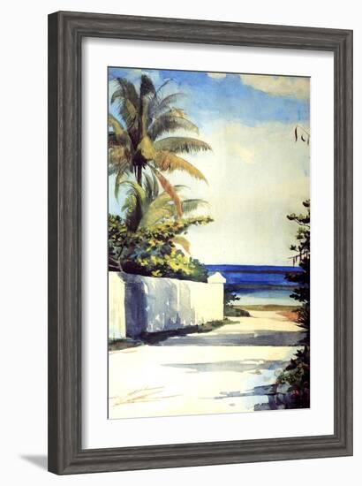 Road in Nassau, 1898-99-Winslow Homer-Framed Premium Giclee Print