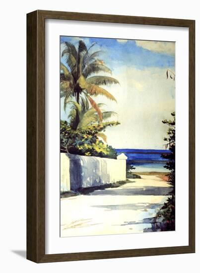 Road in Nassau, 1898-99-Winslow Homer-Framed Premium Giclee Print