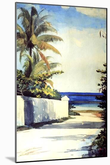 Road in Nassau, 1898-99-Winslow Homer-Mounted Premium Giclee Print