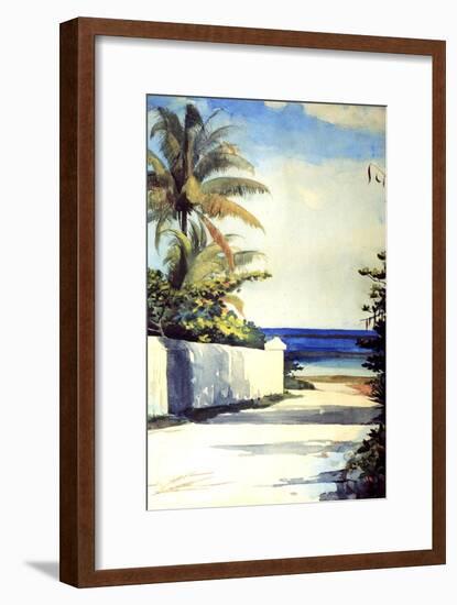 Road in Nassau, 1898-99-Winslow Homer-Framed Giclee Print