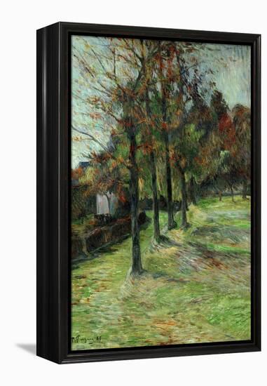 Road in Rouen, II, 1885-Paul Gauguin-Framed Premier Image Canvas