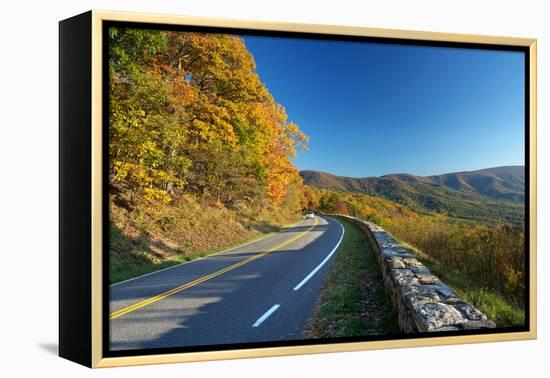 Road in Shenandoah National Park-sborisov-Framed Premier Image Canvas