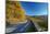 Road in Shenandoah National Park-sborisov-Mounted Photographic Print
